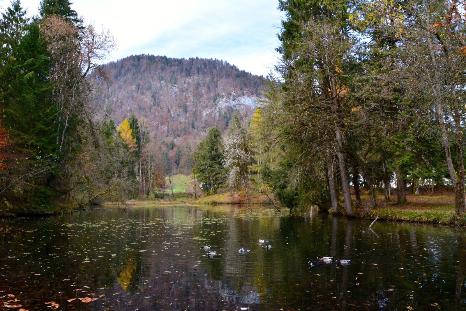 Nikon D5200 sample photo. Lake, autumn, color photography
