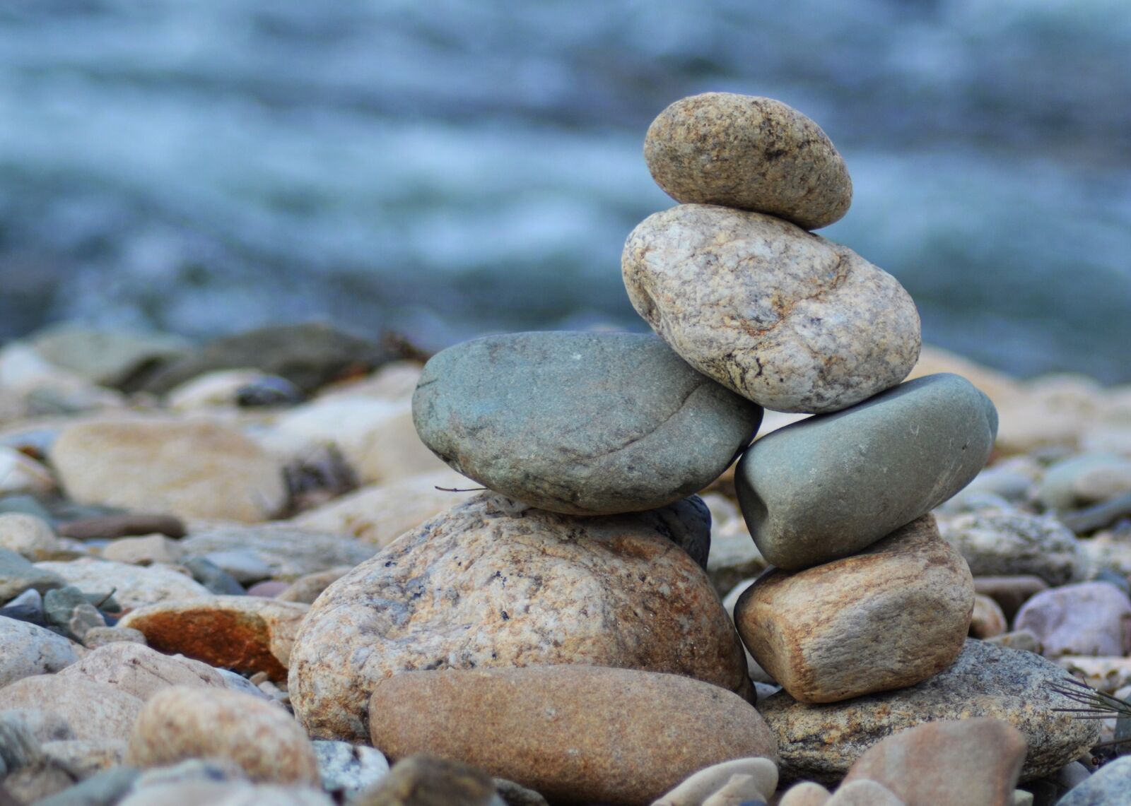 Nikon D5100 sample photo. Roller, zen, wild photography