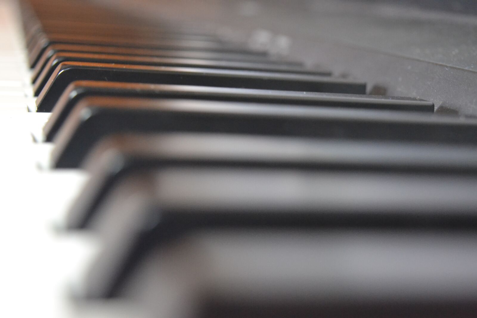 Nikon D3100 sample photo. Piano, music, notes photography