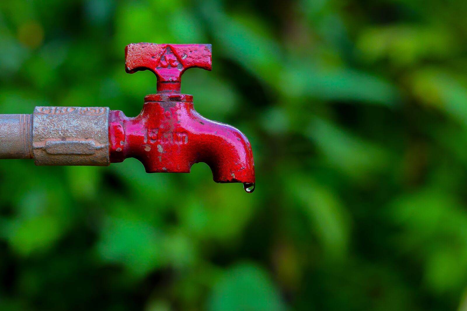 Canon EOS 700D (EOS Rebel T5i / EOS Kiss X7i) + Canon EF 50mm F1.8 STM sample photo. Tap, water, save water photography