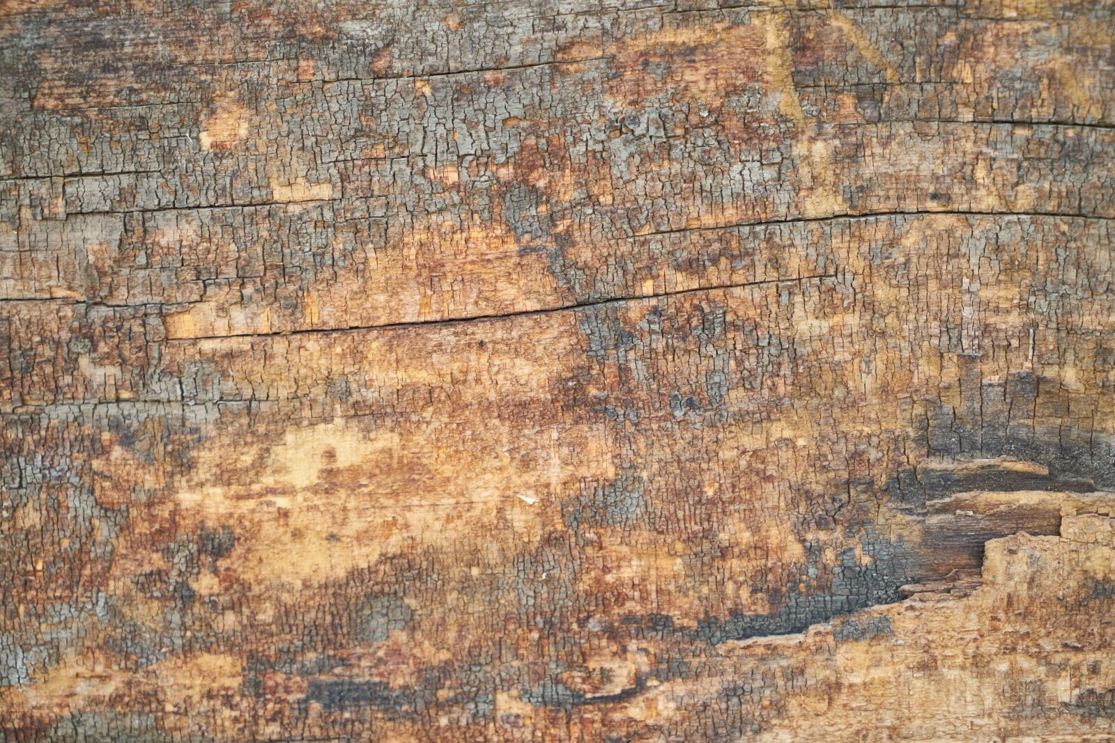 Sony a7R II sample photo. Wood, billet, natural photography