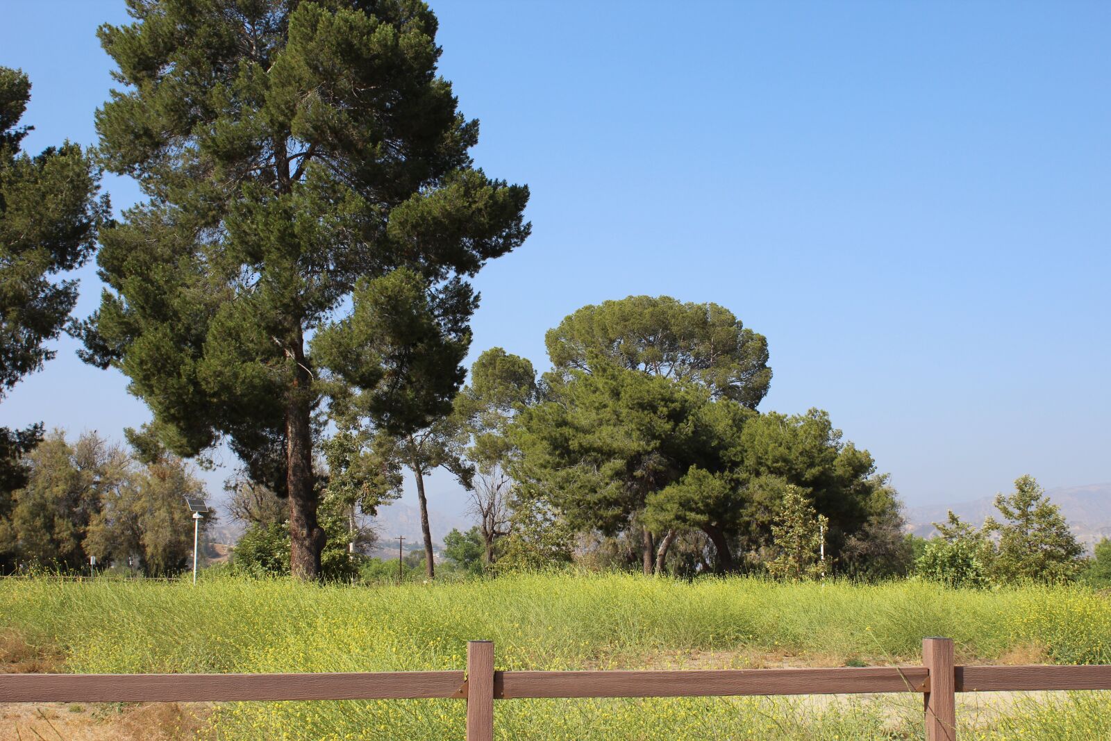 Canon EOS 1200D (EOS Rebel T5 / EOS Kiss X70 / EOS Hi) sample photo. Landscape, scenery, forest photography