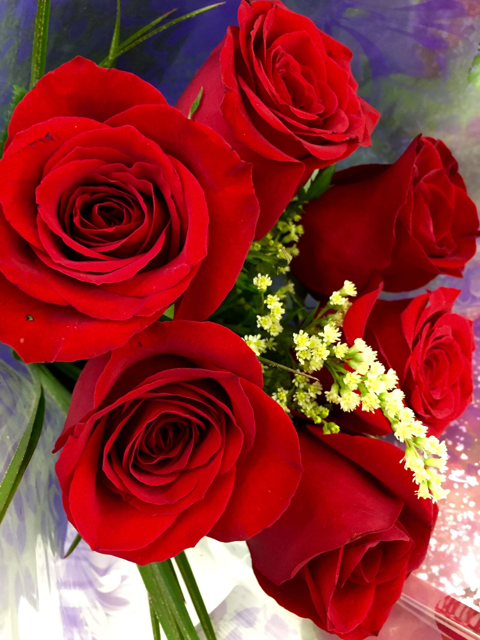 iPhone 6 Plus back camera 4.15mm f/2.2 sample photo. Bouquet, flowers, love, nature photography