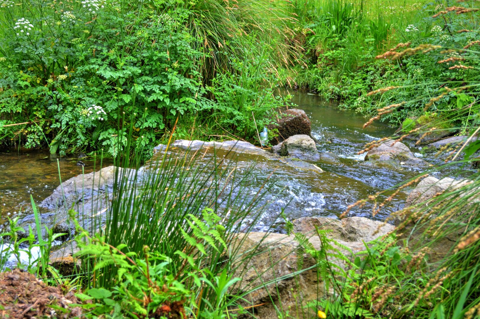 Nikon D3200 sample photo. Cascade, water, creek photography