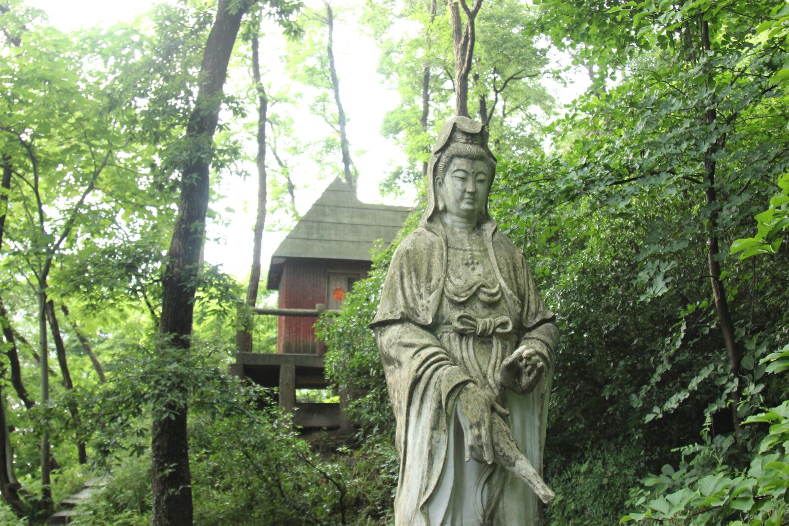 Canon EOS 600D (Rebel EOS T3i / EOS Kiss X5) + Canon EF 24-105mm F4L IS USM sample photo. Guanyin, statue, purple mountain photography