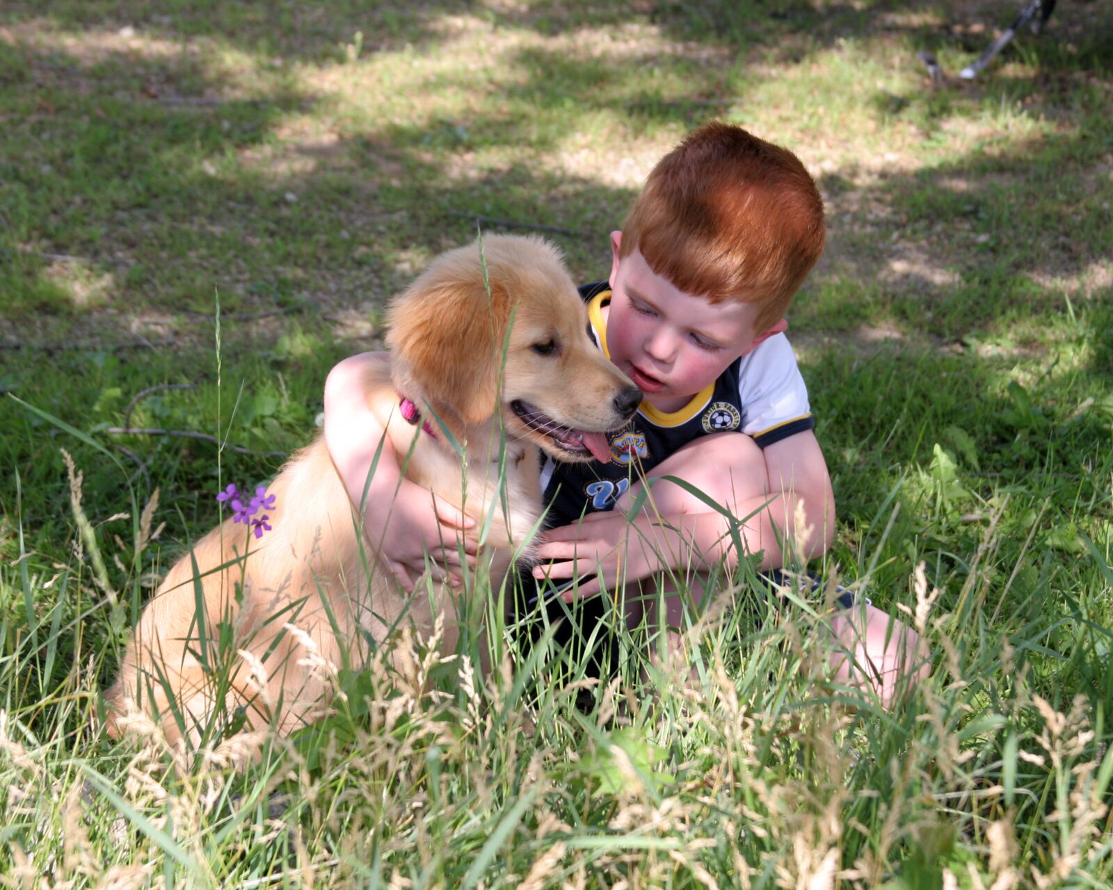 Canon EOS 20D sample photo. Puppy, dog, boy photography