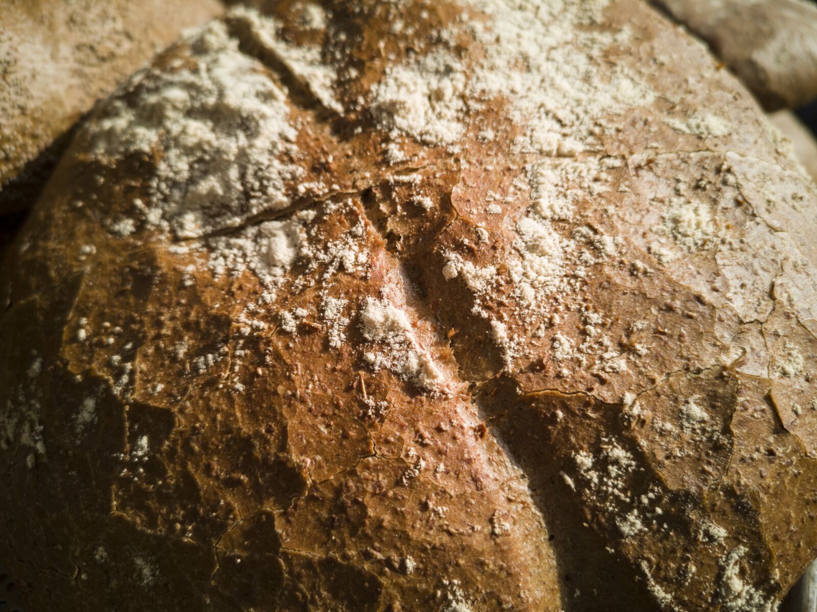 HUAWEI CLT-L09 sample photo. Bread, flour, fresh photography