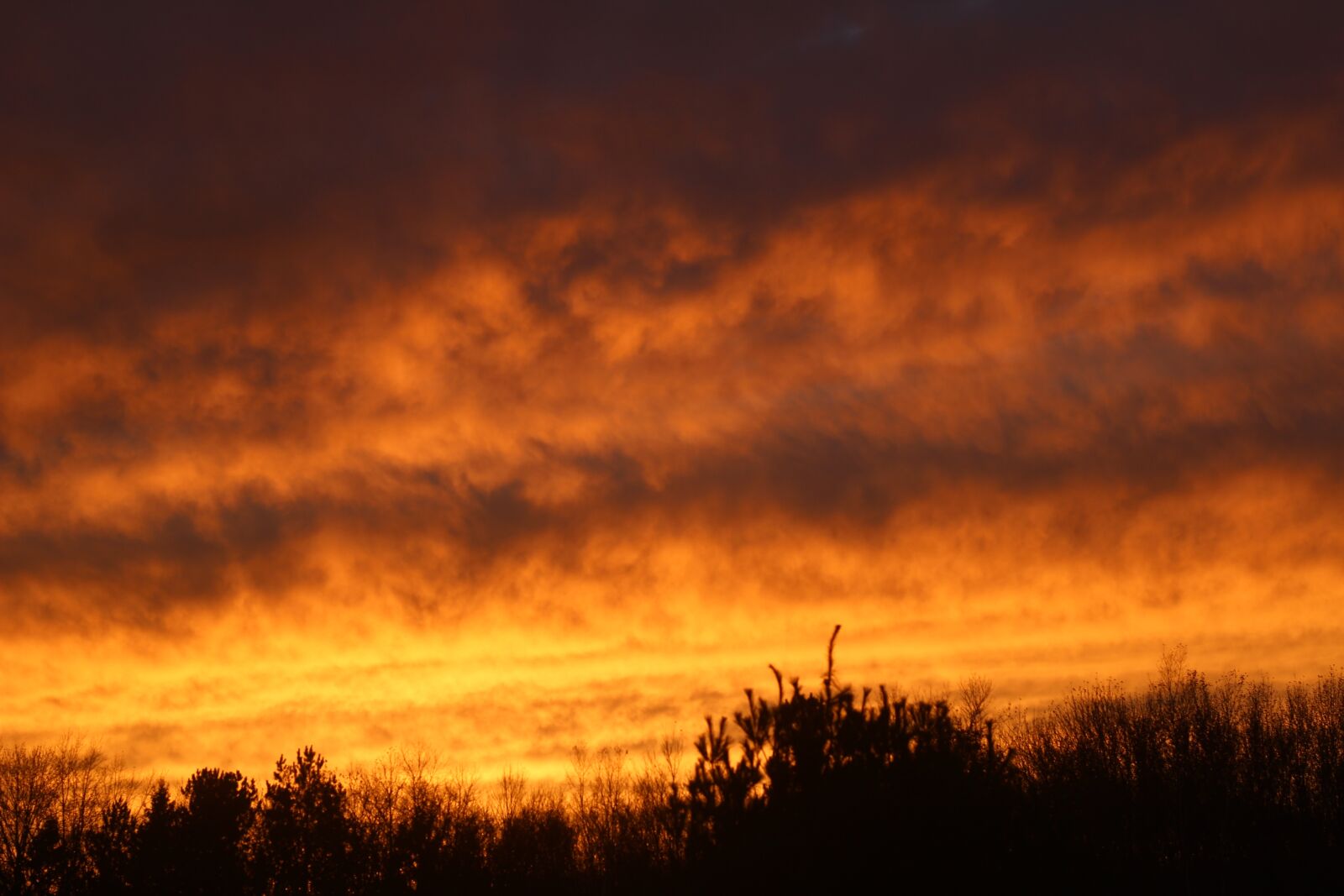 Canon EF 50mm F1.8 STM sample photo. Sunset, pink, yellow photography