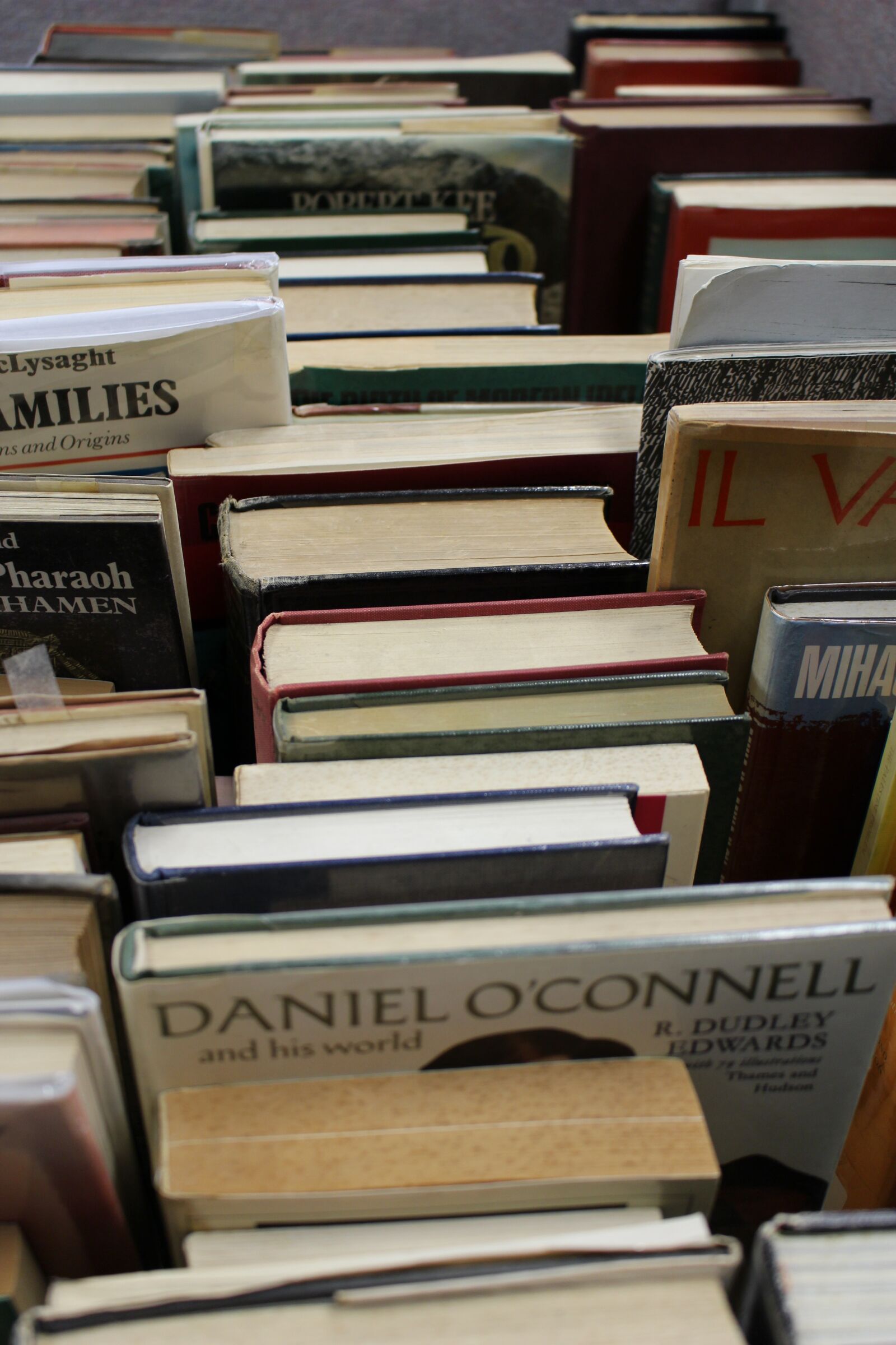 Canon EOS 100D (EOS Rebel SL1 / EOS Kiss X7) sample photo. Books, knowledge, education photography