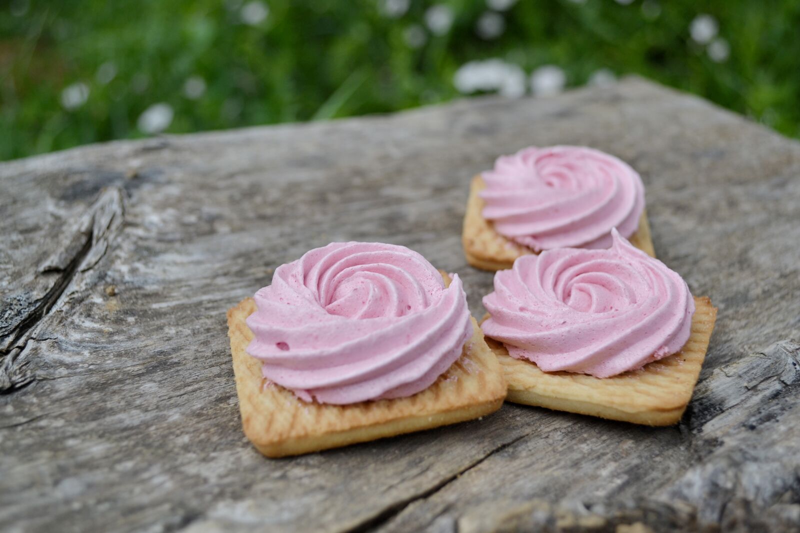 Nikon D3100 sample photo. Marshmallow, cookie, sweet photography