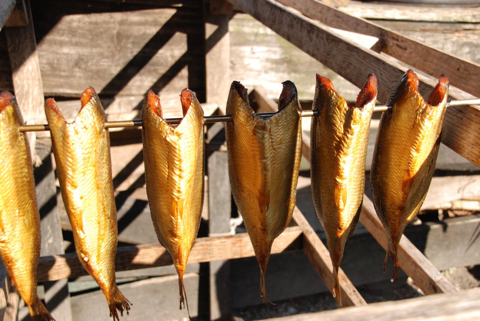Nikon D80 sample photo. Fish, smoking, craft photography