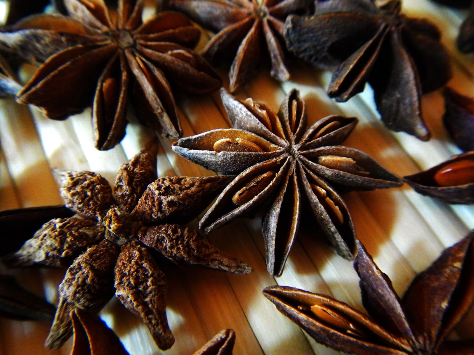 Nikon Coolpix AW110 sample photo. Star anise, dry fruit photography