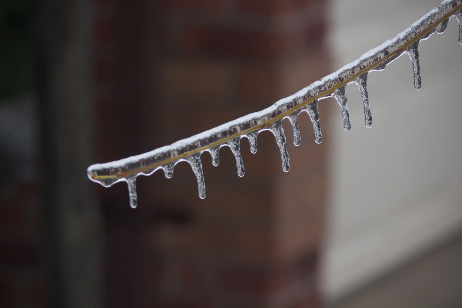Canon EOS 550D (EOS Rebel T2i / EOS Kiss X4) sample photo. Icicle, nature, winter photography