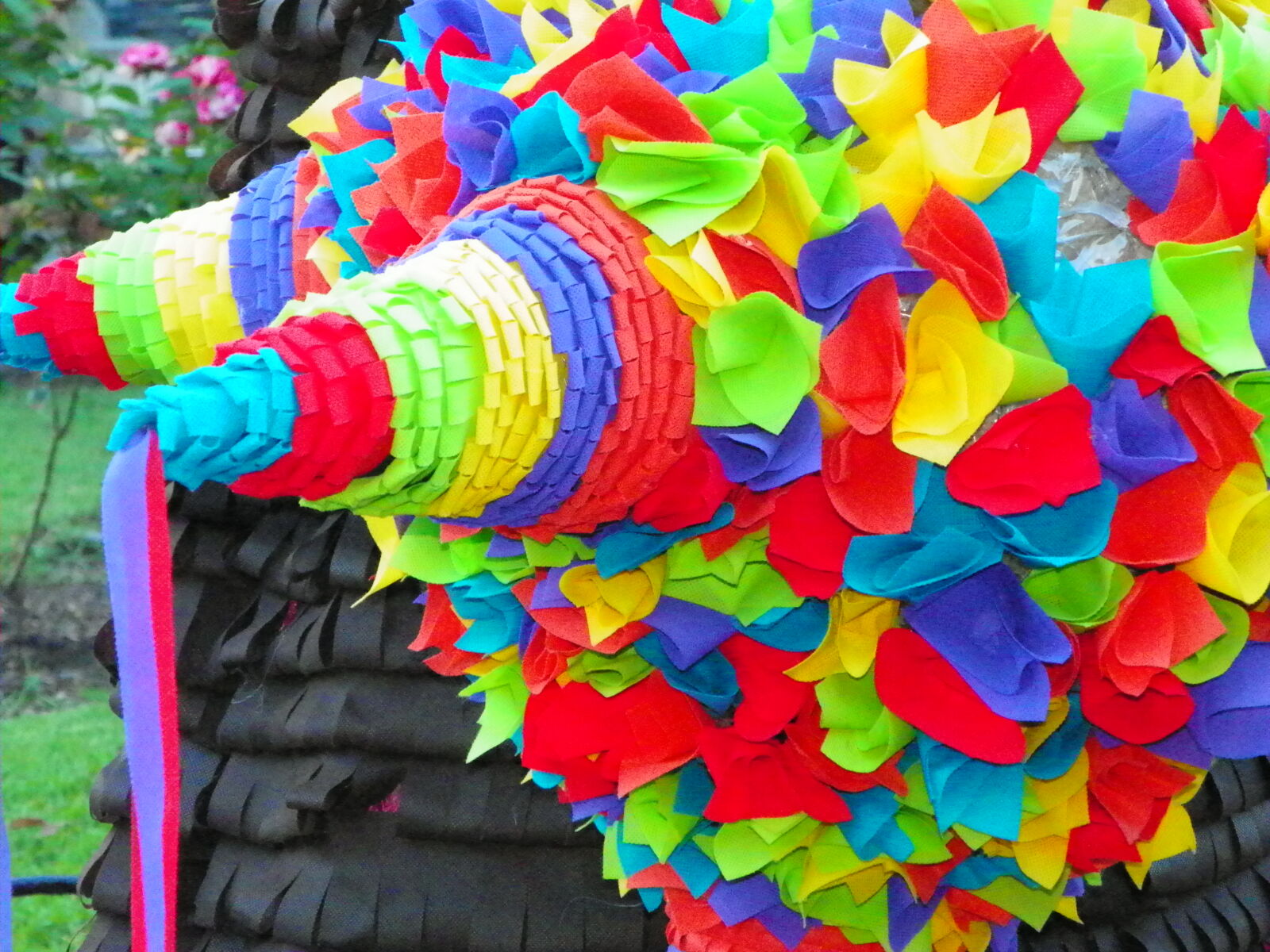 Kodak EasyShare Z981 sample photo. Colores, colors, pinata photography