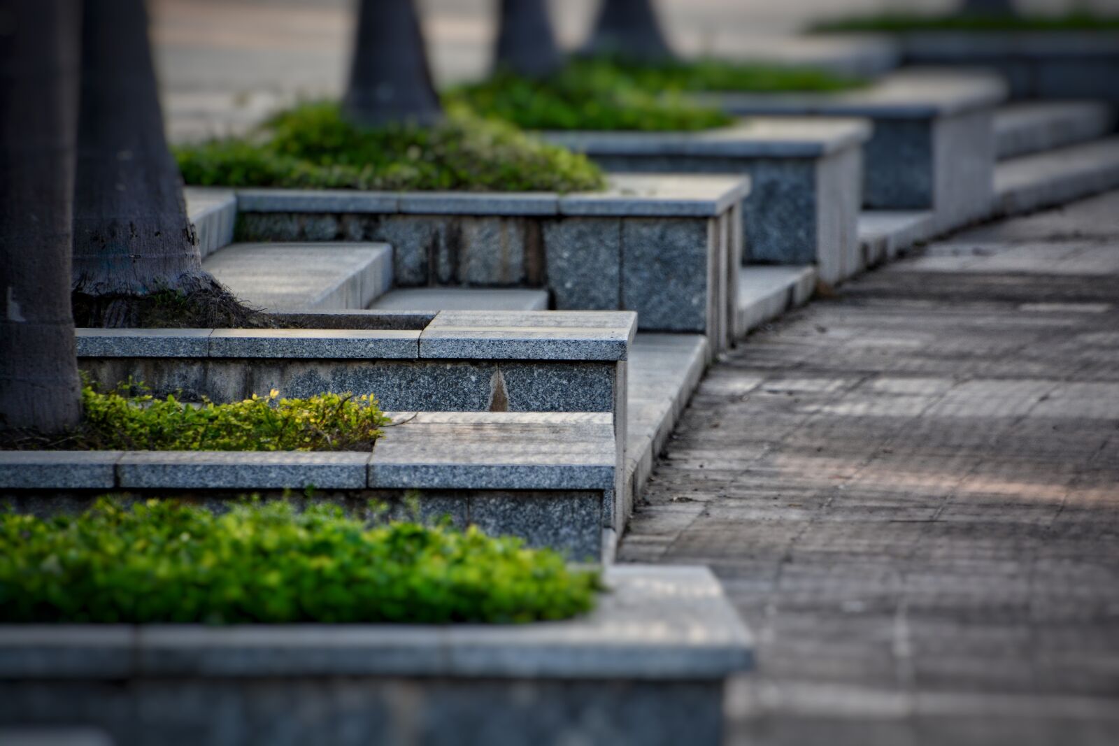 Nikon D7100 sample photo. Outdoor, stone, pavement photography