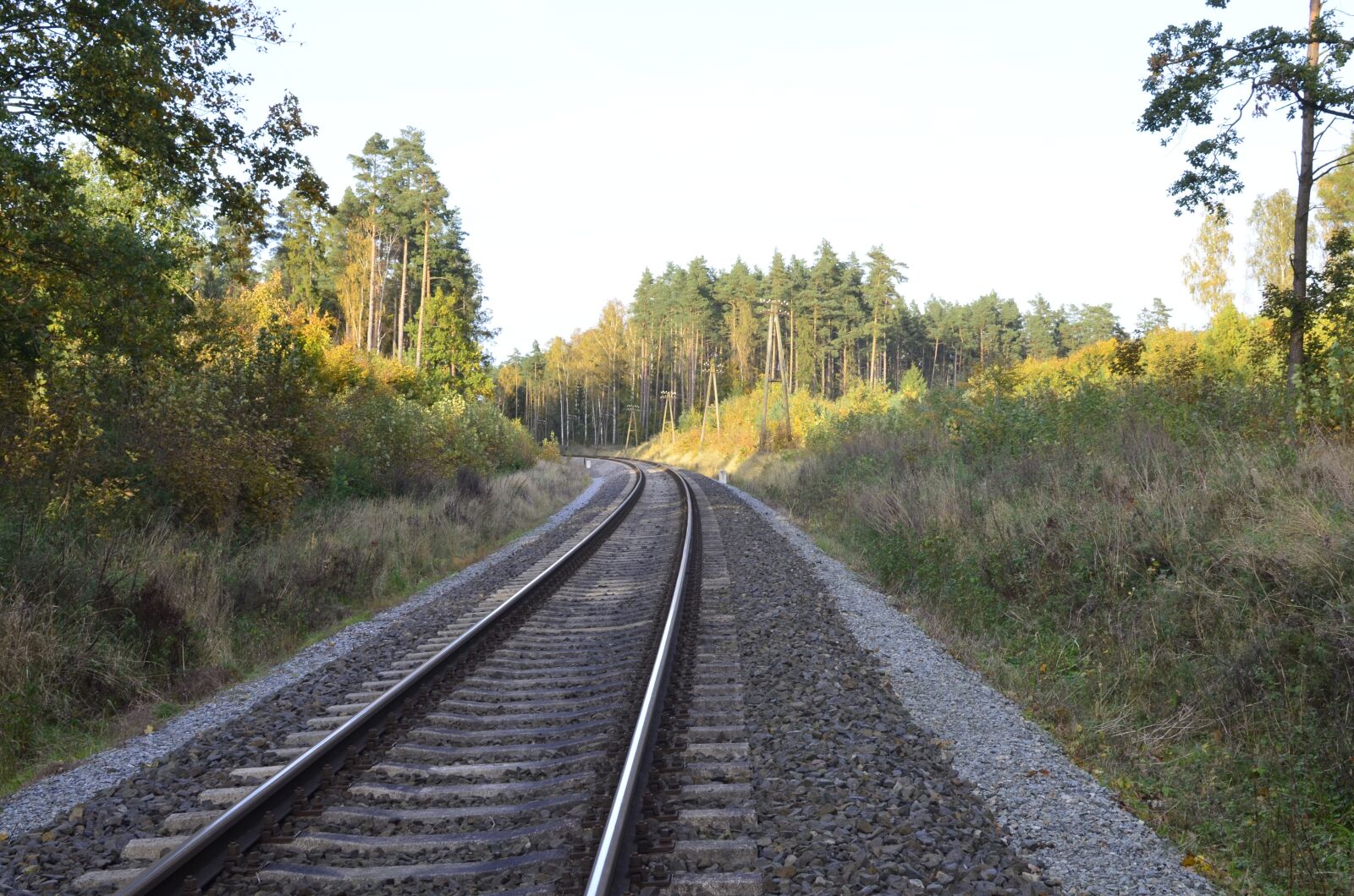 Nikon D5100 sample photo. Forest, tracks, landscape photography