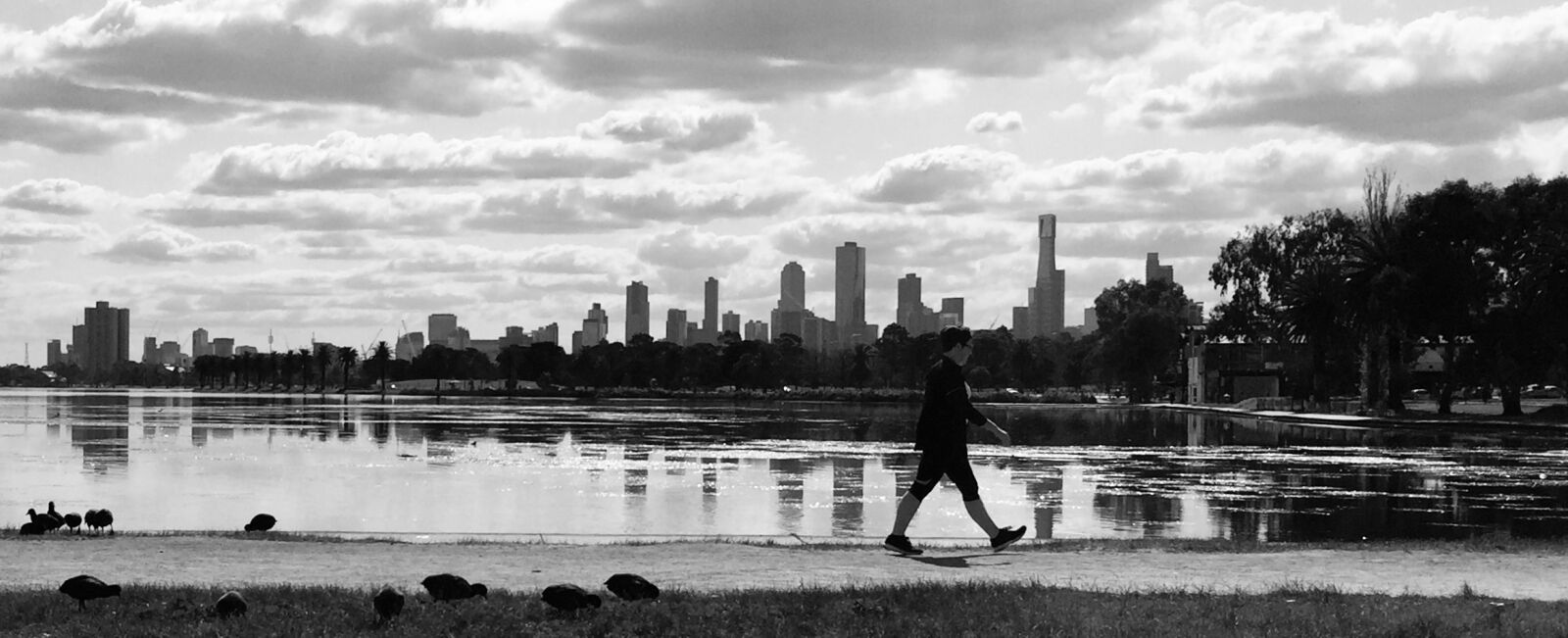 Apple iPhone 6 sample photo. Melbourne, albert park, city photography