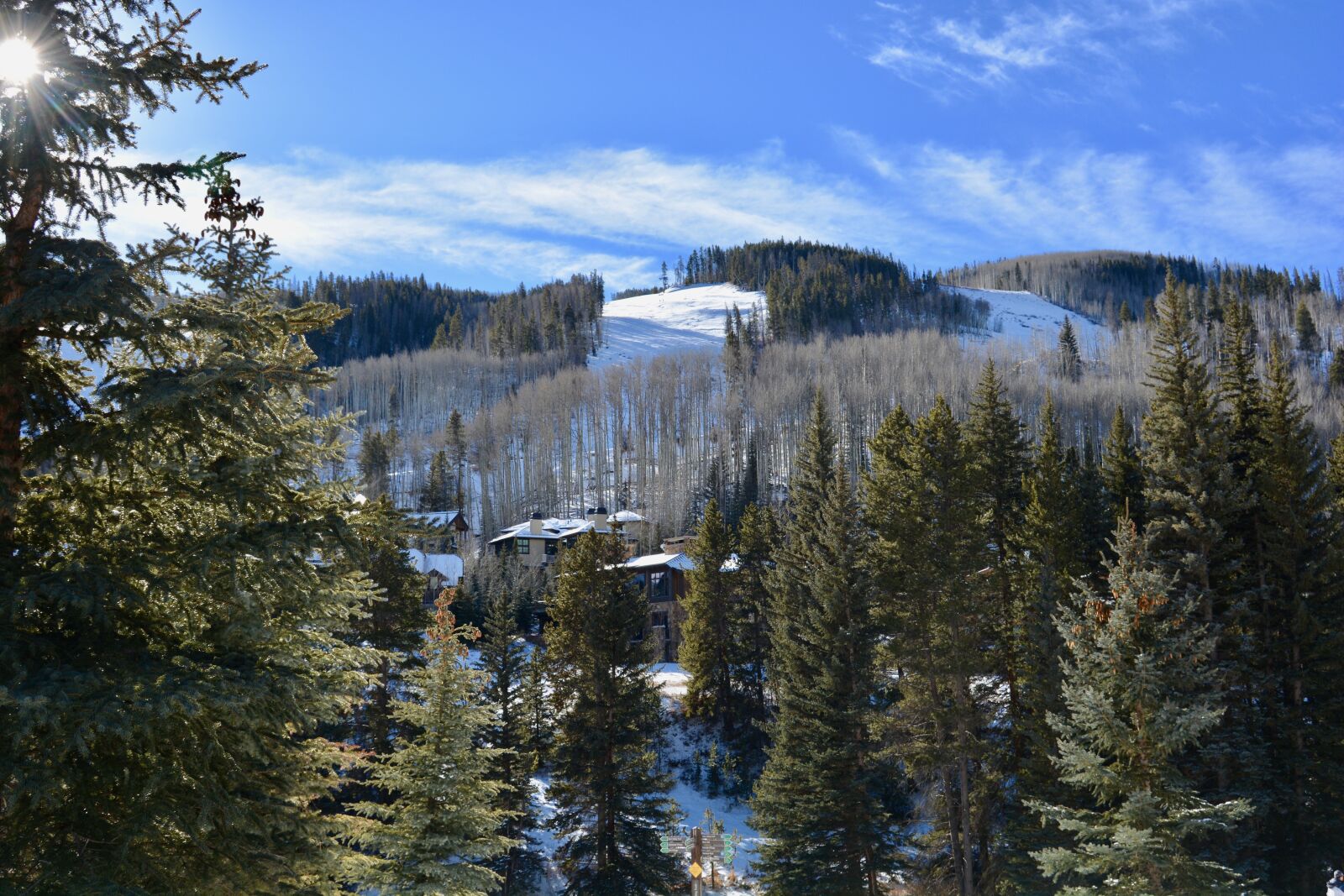 Nikon D5200 sample photo. Wood, tree, snow photography