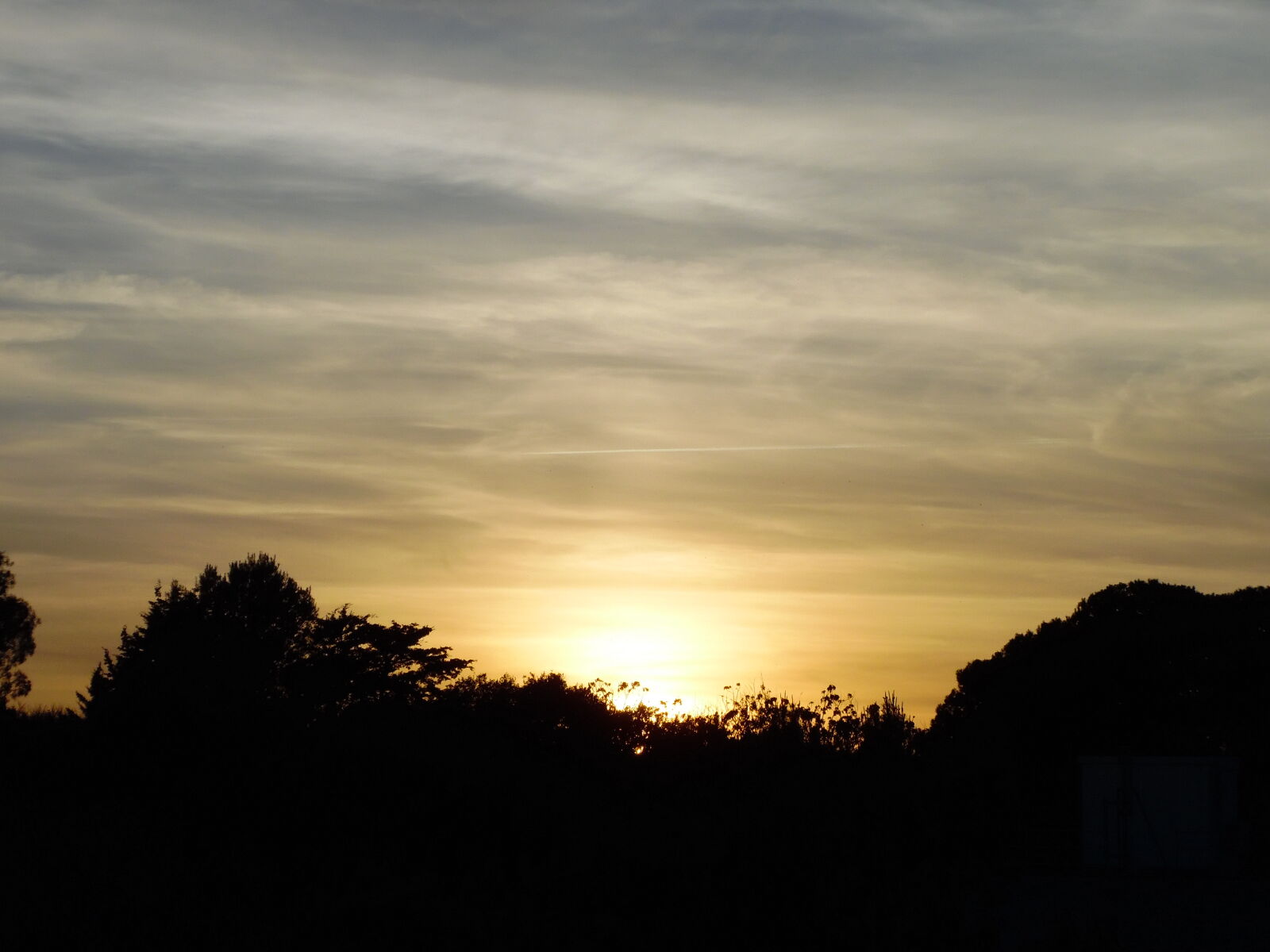 Samsung WB1100F/WB1101F/WB1102F sample photo