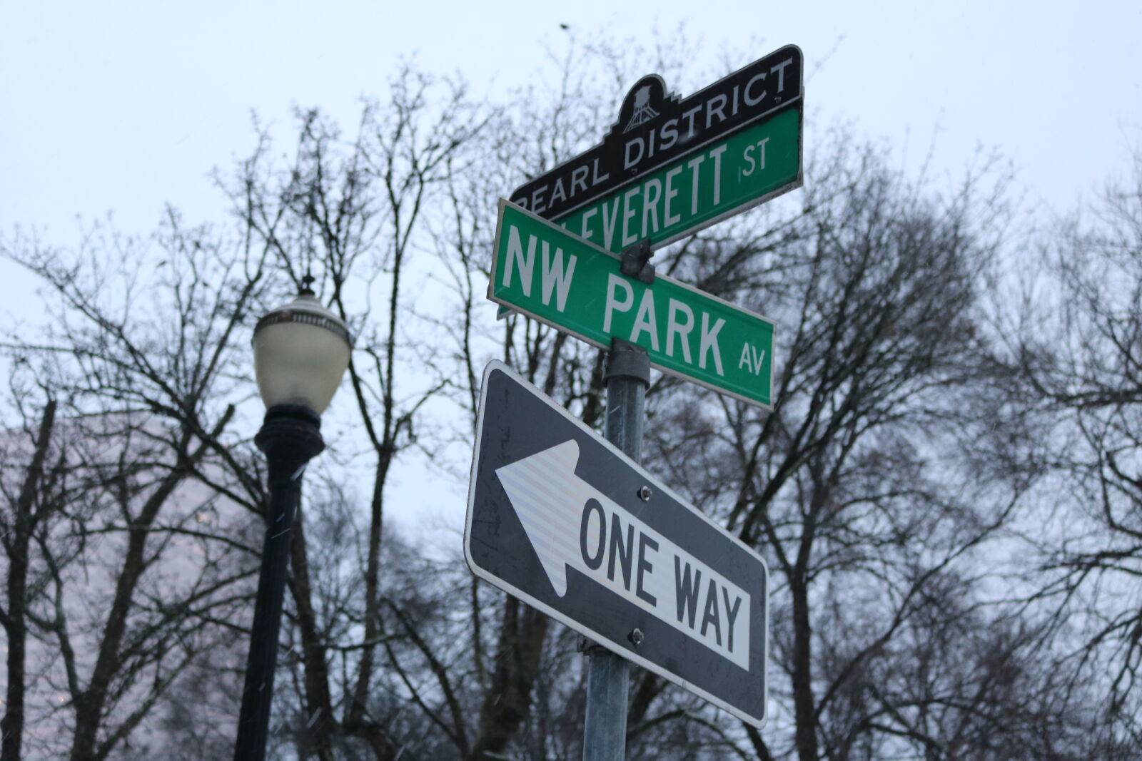 Canon EOS 750D (EOS Rebel T6i / EOS Kiss X8i) sample photo. Afternoon, oregon, outside, portland photography