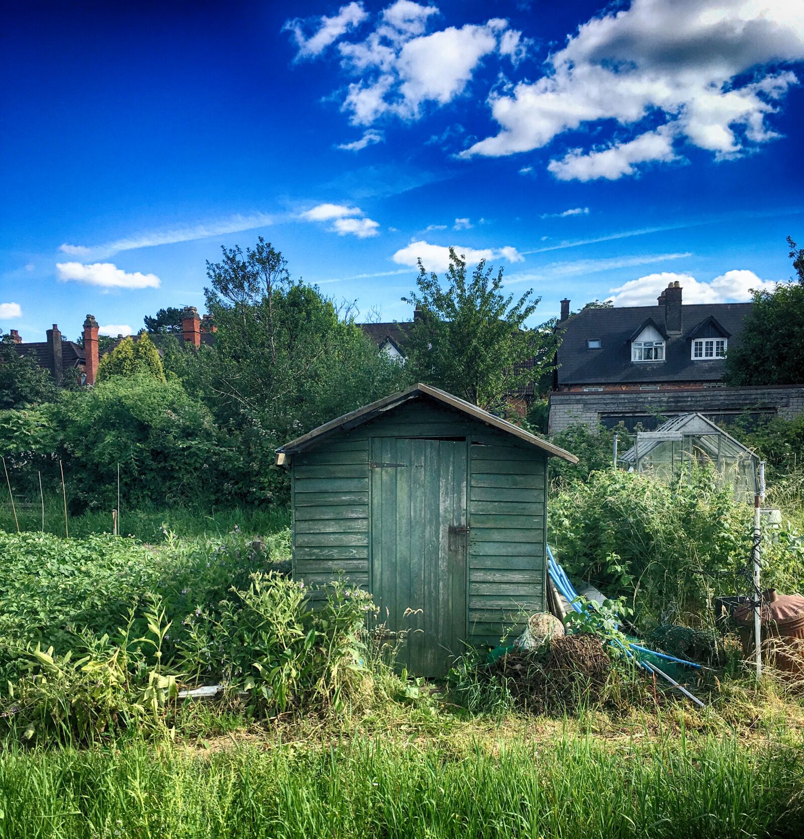 Apple iPhone 6s sample photo. Shed, garden, gardening photography