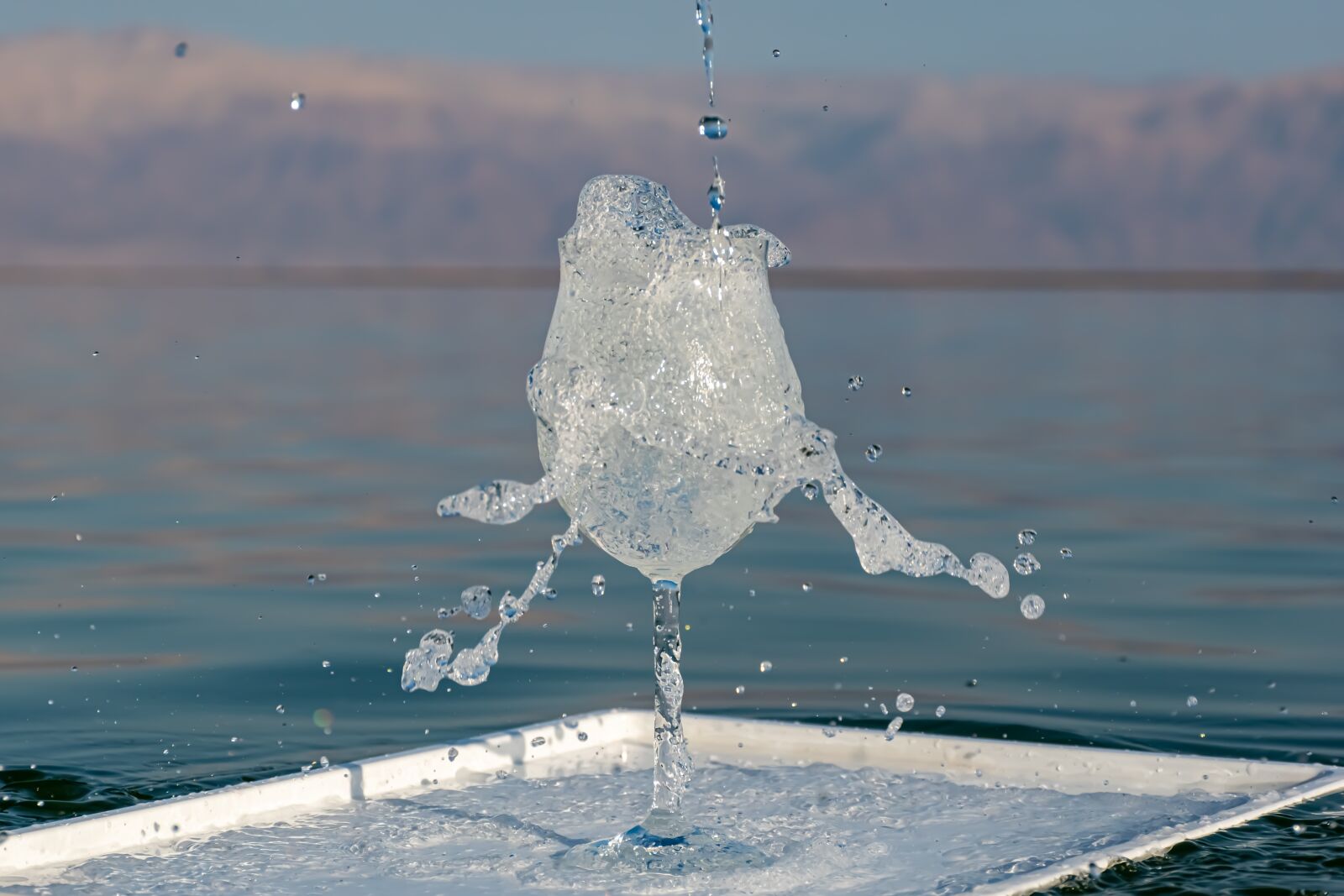 Nikon D5600 sample photo. Fragility, bubbles, splash photography