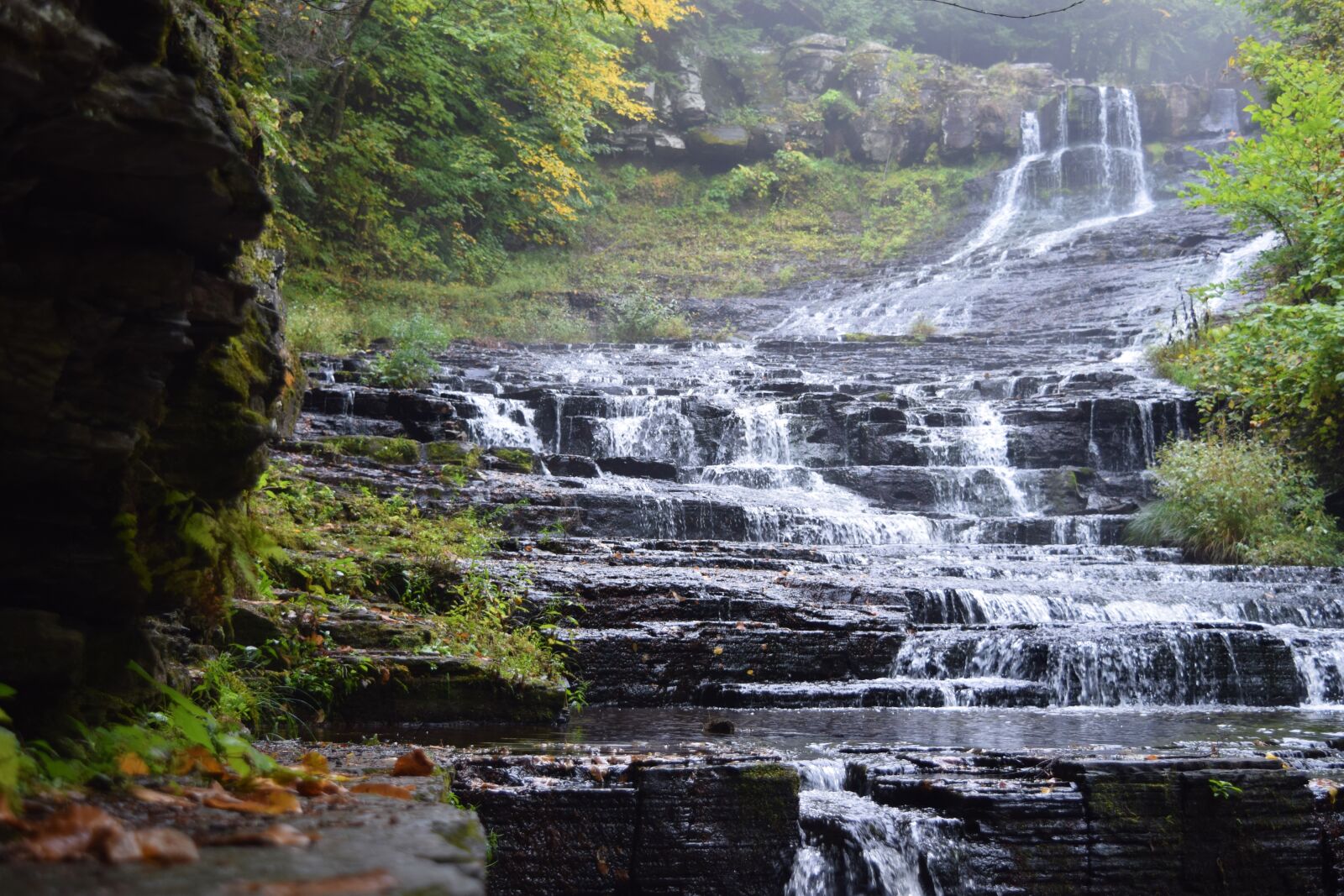 Nikon D3300 sample photo. Flow, fog, foggy, landscape photography