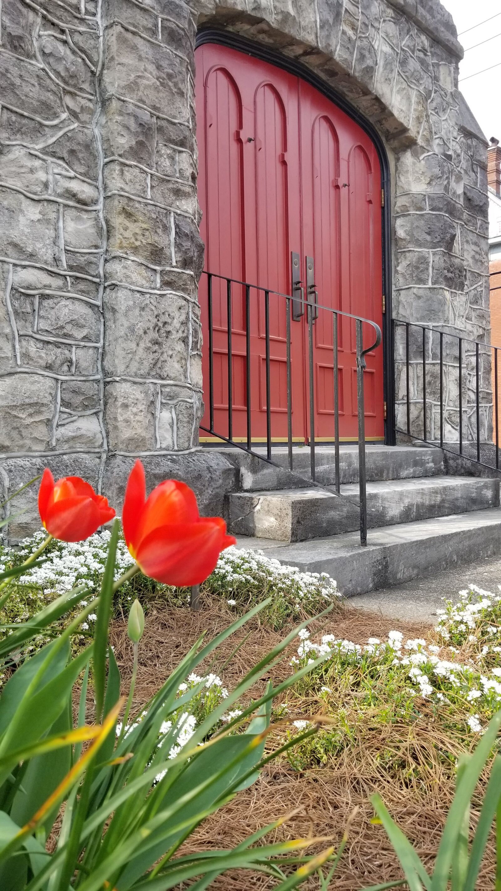 Samsung Galaxy S8+ sample photo. Flower, garden, church photography