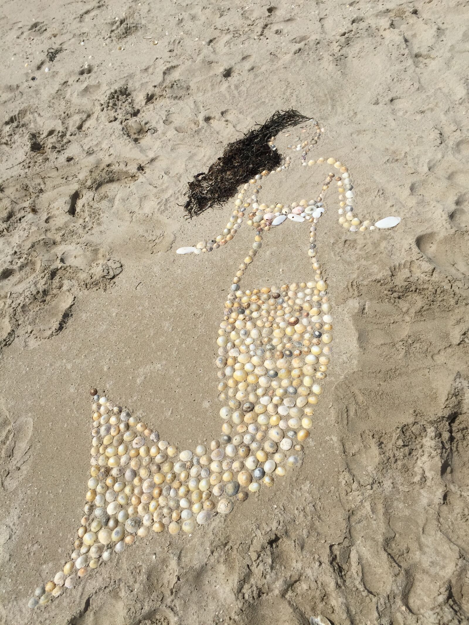 iPhone 6 back camera 4.15mm f/2.2 sample photo. Beige, sea, clams, mermaid photography