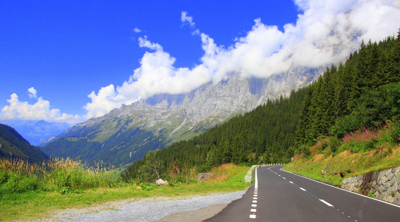 Canon EOS 600D (Rebel EOS T3i / EOS Kiss X5) sample photo. Susten pass, switzerland, mountains photography