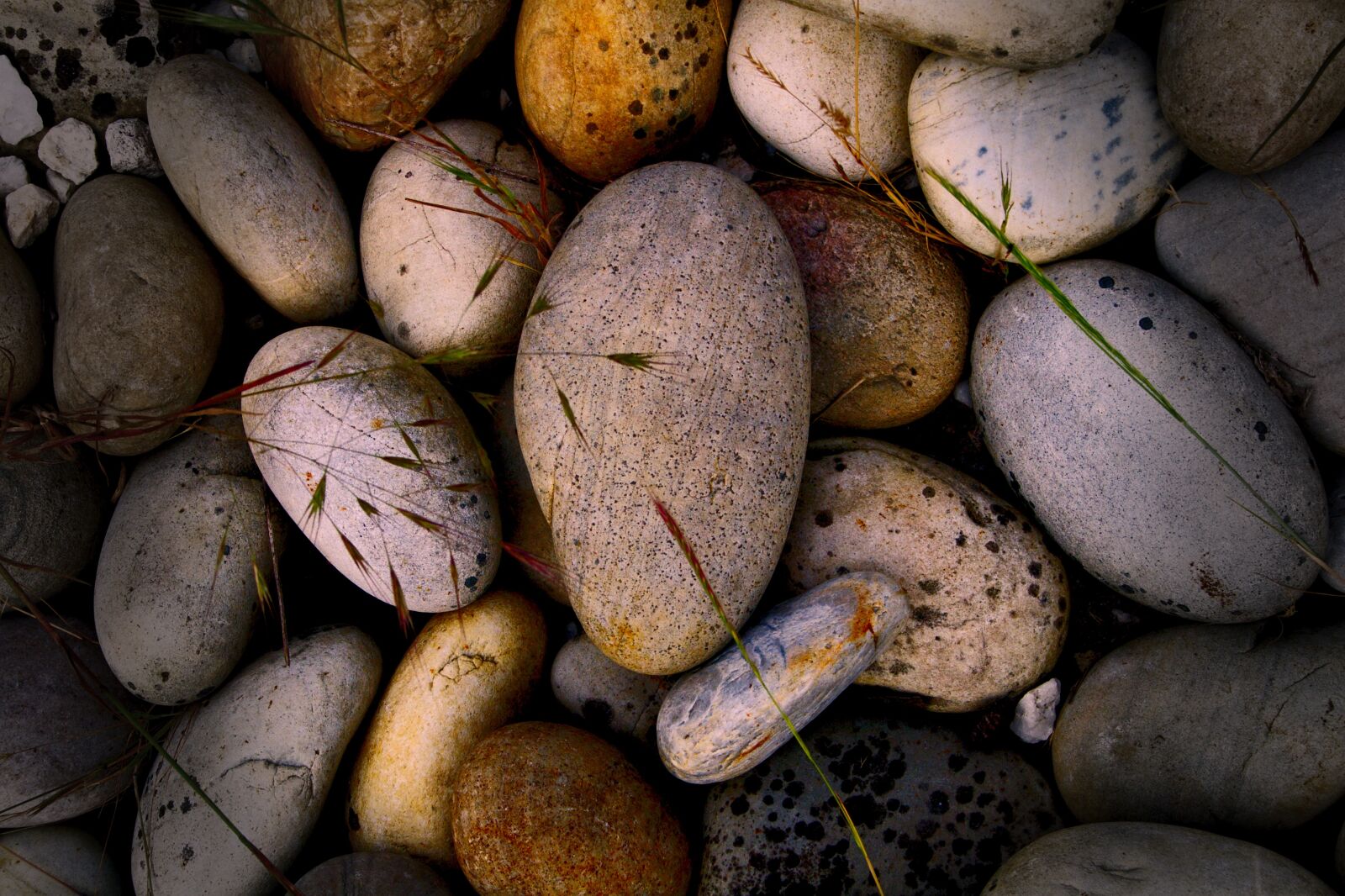 Canon EOS 400D (EOS Digital Rebel XTi / EOS Kiss Digital X) sample photo. Stones, rocks, soil photography