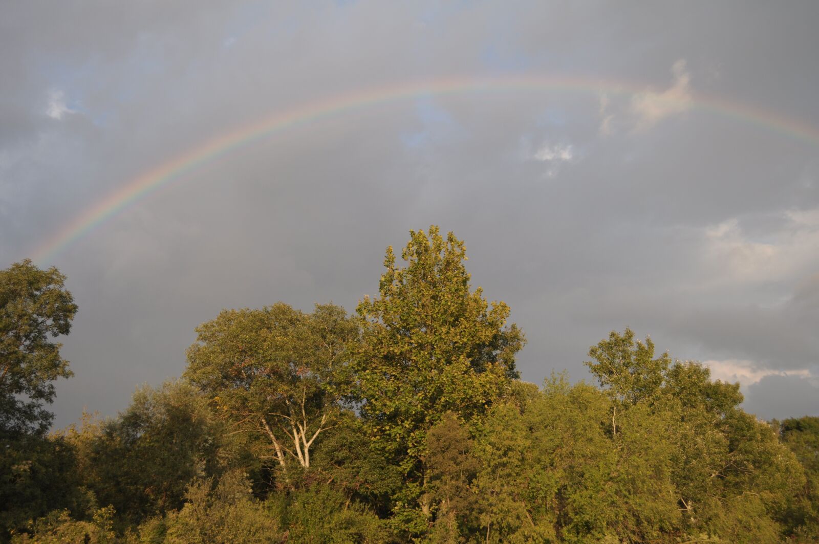 Nikon D5000 sample photo. Rainbow, sky, nature photography