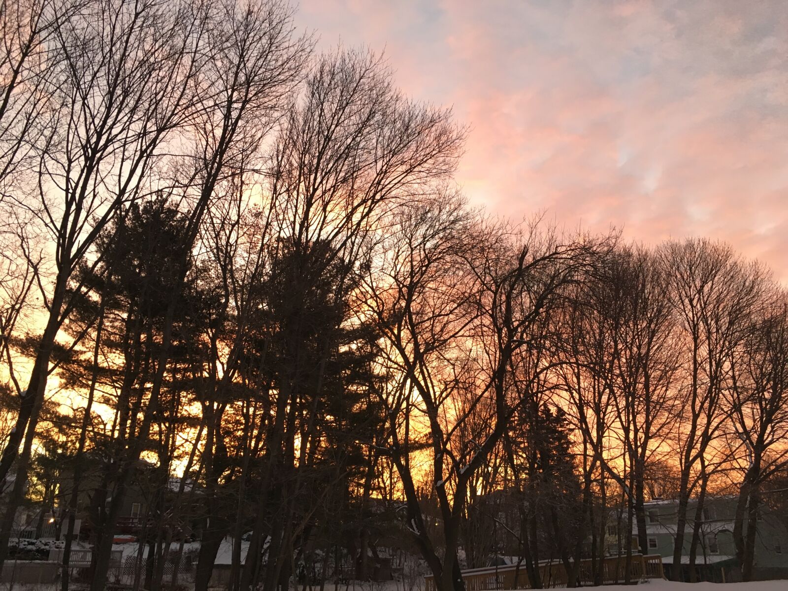 Apple iPhone SE sample photo. Sunrise, morning, winter photography
