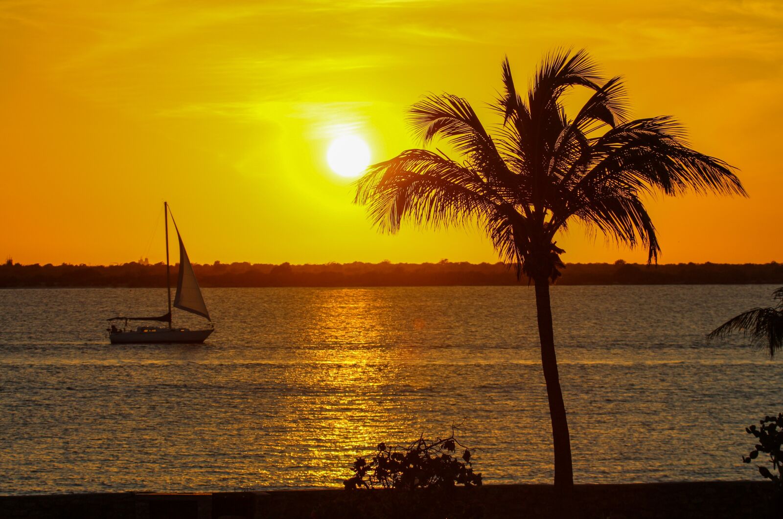 Canon EF 100-400mm F4.5-5.6L IS USM sample photo. Caribbean, sunset, sailboat photography