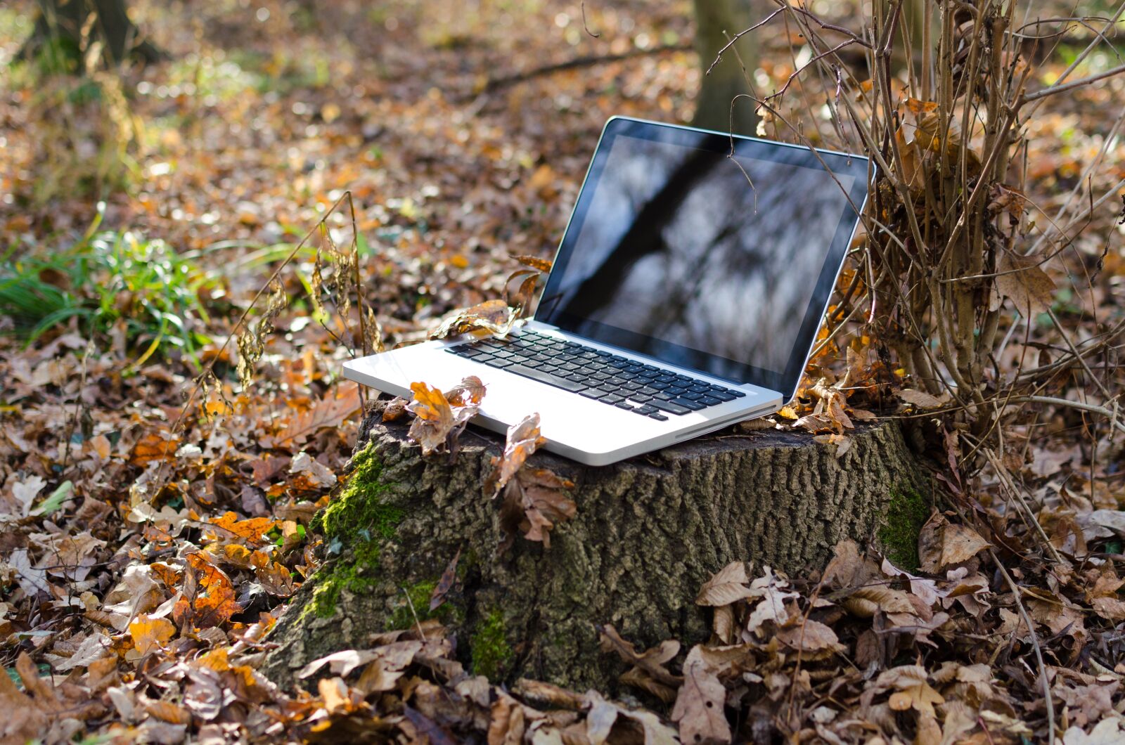 Nikon D5100 sample photo. Laptop, computer, pc photography
