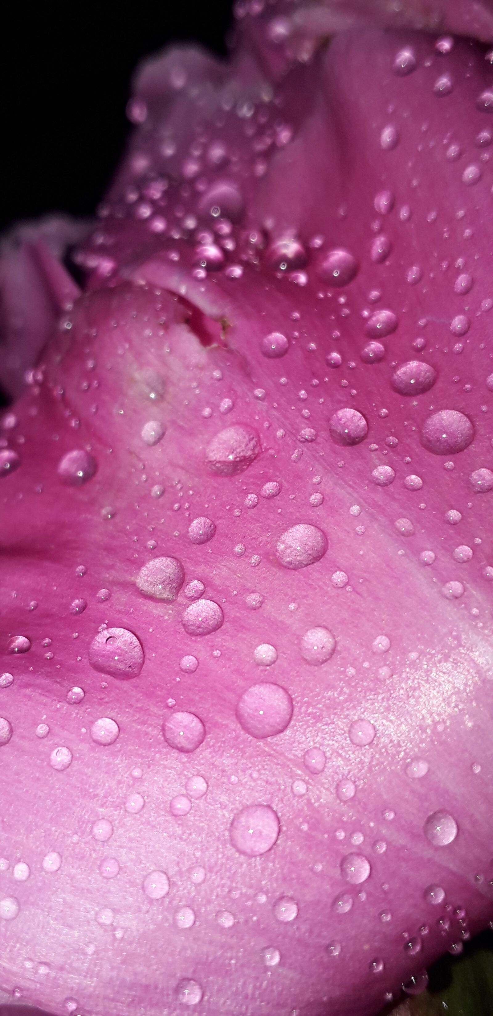 Samsung Galaxy J6 sample photo. Wet, water, dark photography