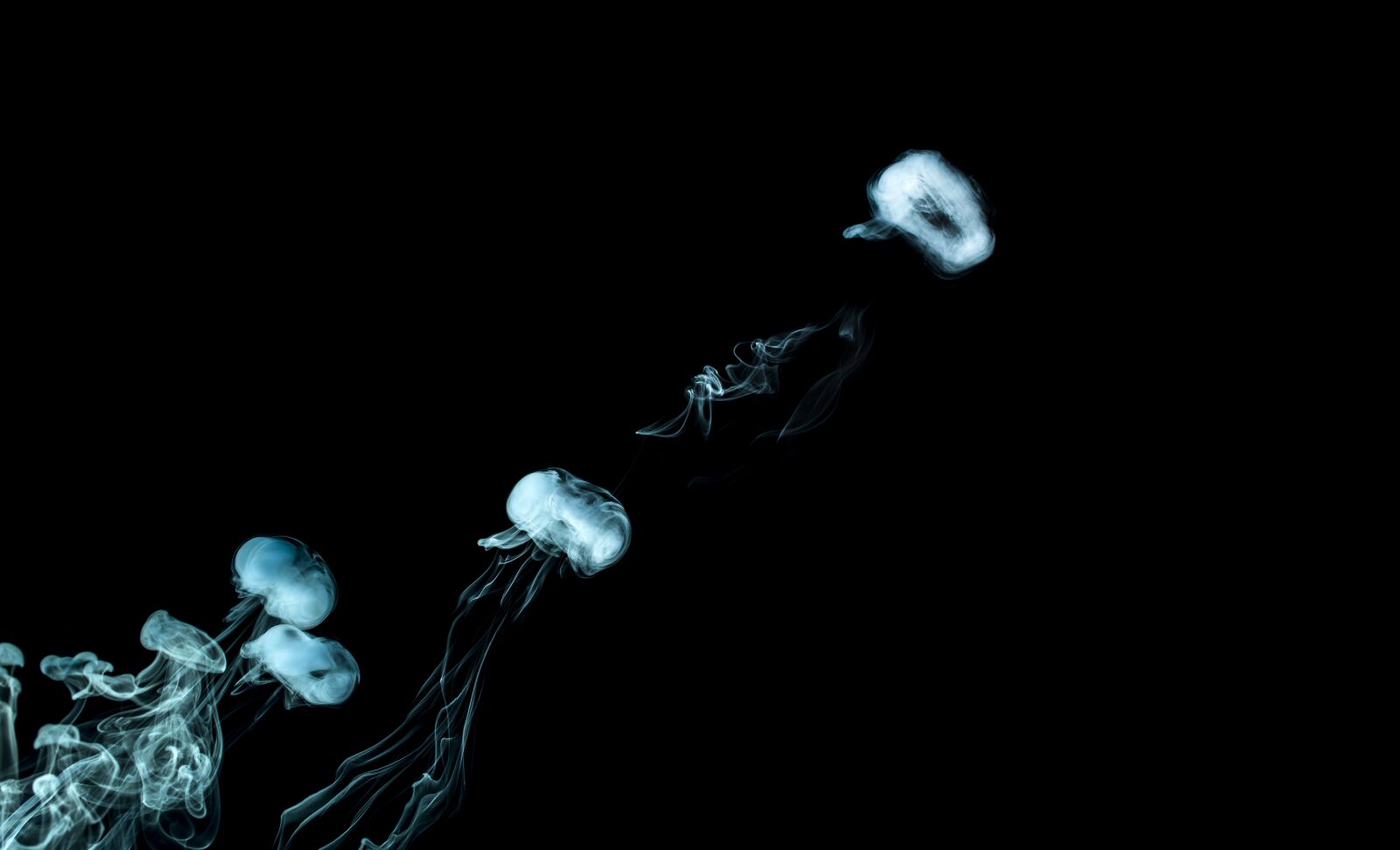 Nikon D7200 sample photo. Smoke, rings, fog photography