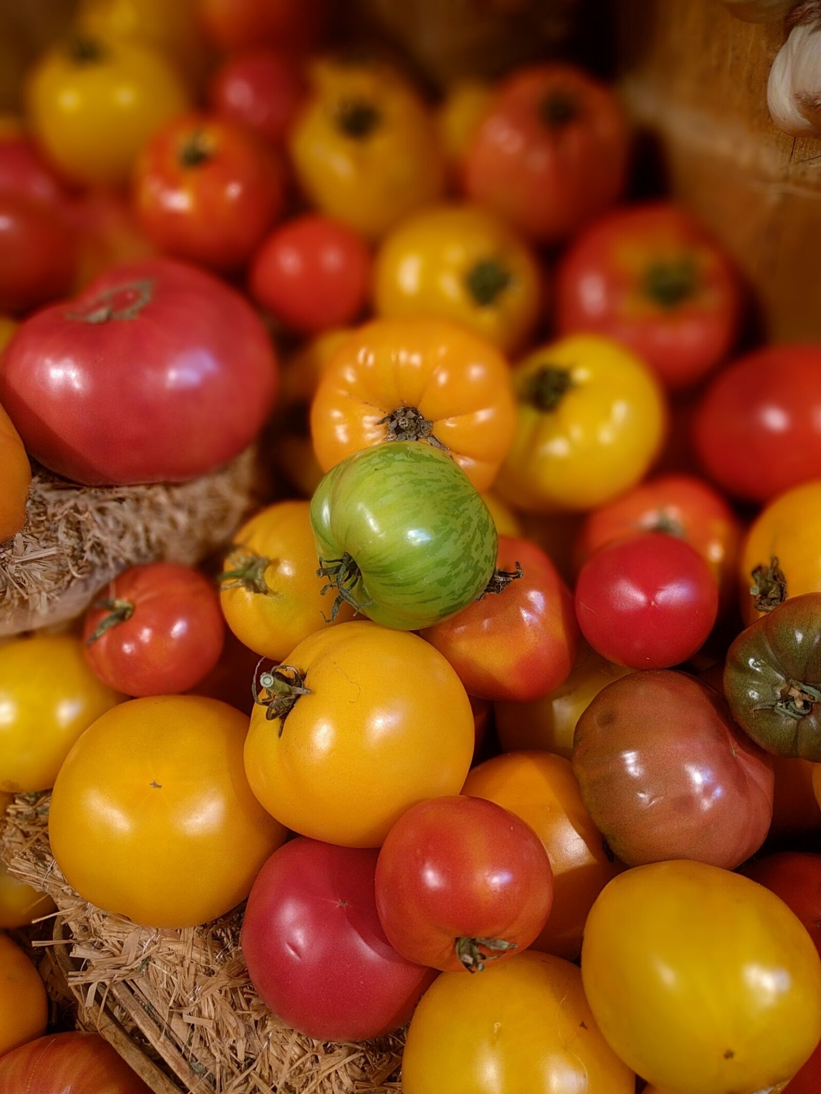 Google Nexus 6P sample photo. Tomato, vegetable, fresh photography