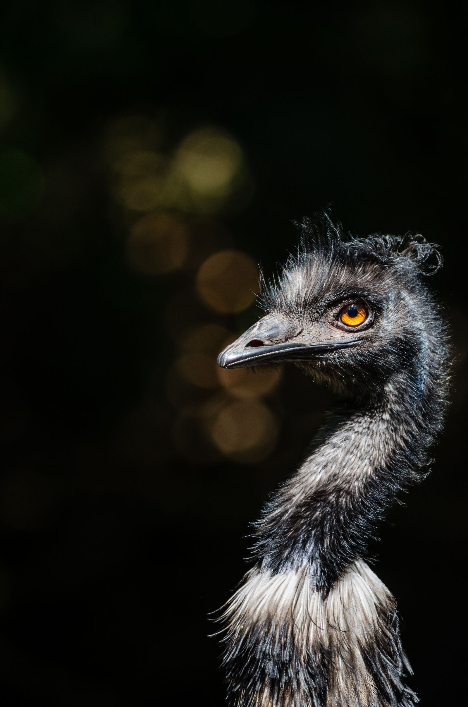 Nikon D7000 + Sigma APO Tele Macro 300mm F4 sample photo