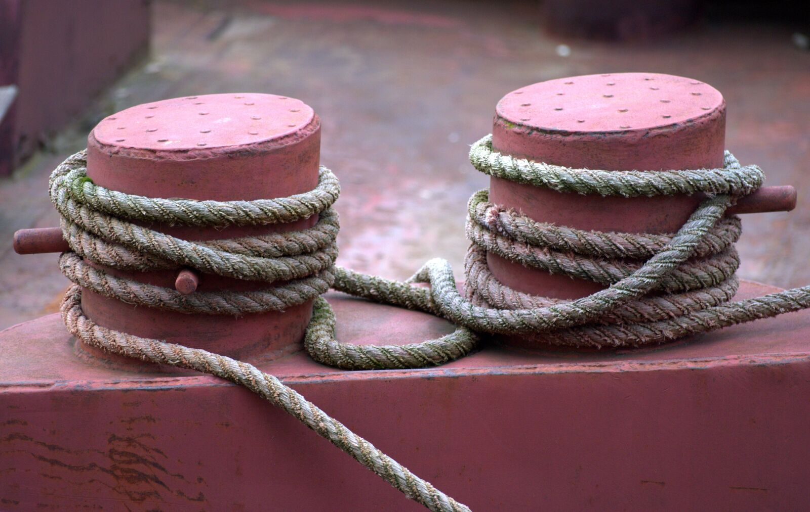 Pentax K-30 sample photo. Pier, kai, leash photography