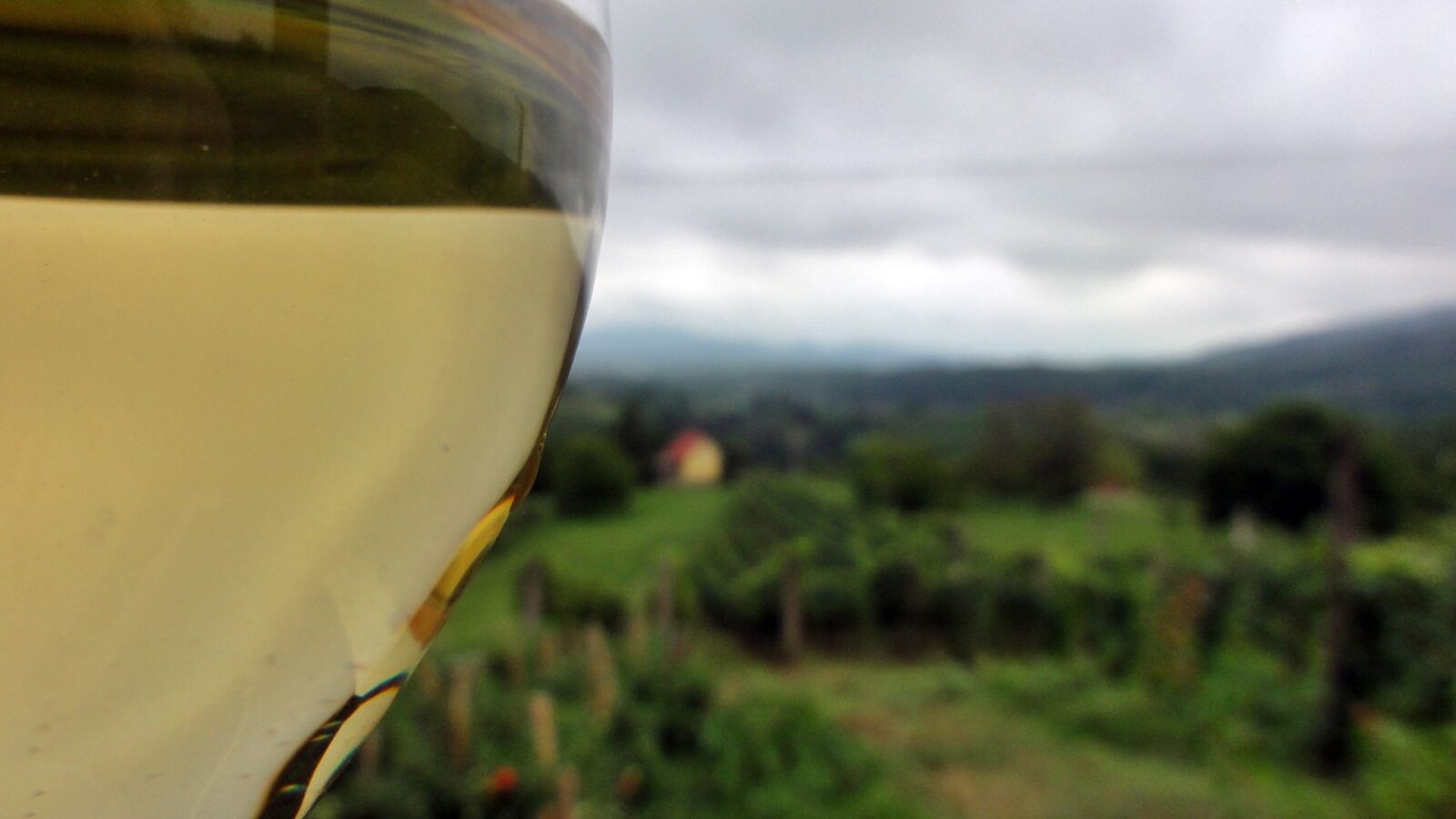 Sony DSC-HX5V sample photo. Vineyard, white, wine, wine photography
