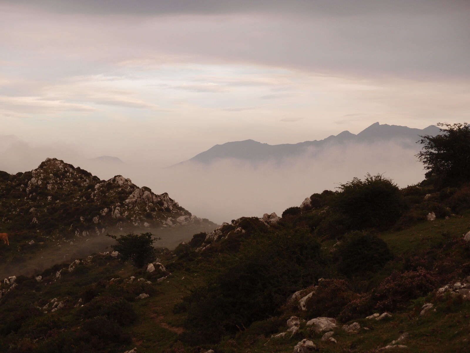 Olympus XZ-1 sample photo. Fog, mountain photography