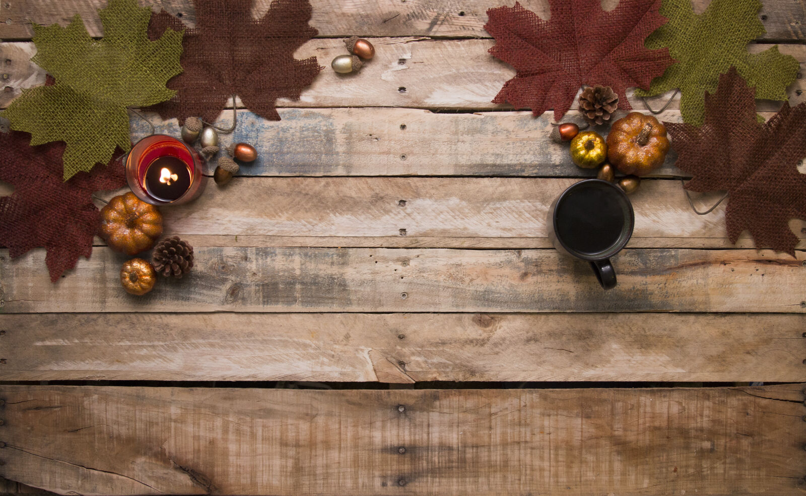 Canon EOS 70D sample photo. Acorns, autumn, autumn, decoration photography