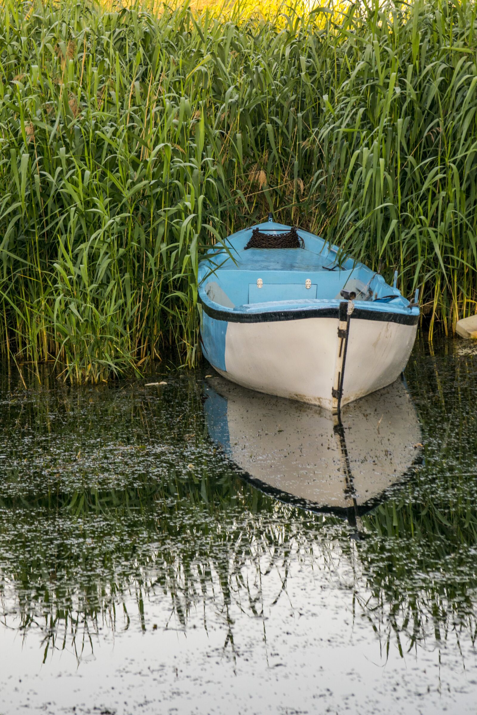 Nikon D5300 sample photo. Boat, river, nature photography