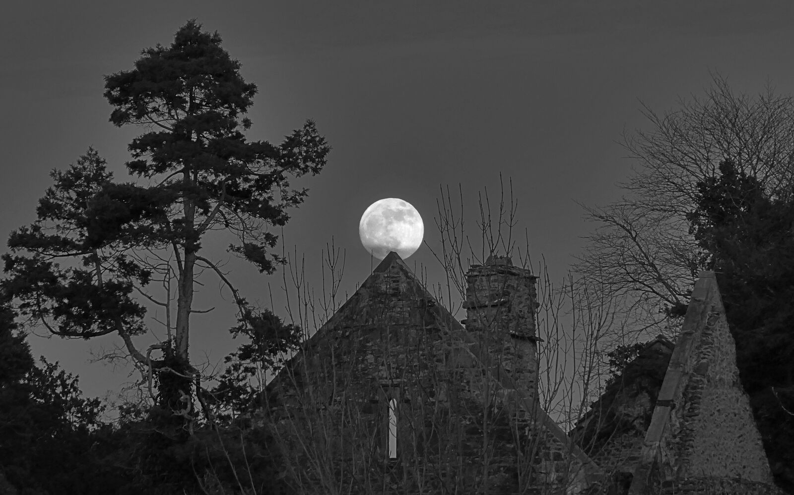 Panasonic Lumix DMC-ZS100 (Lumix DMC-TZ100) sample photo. Moon, full moon, abbey photography
