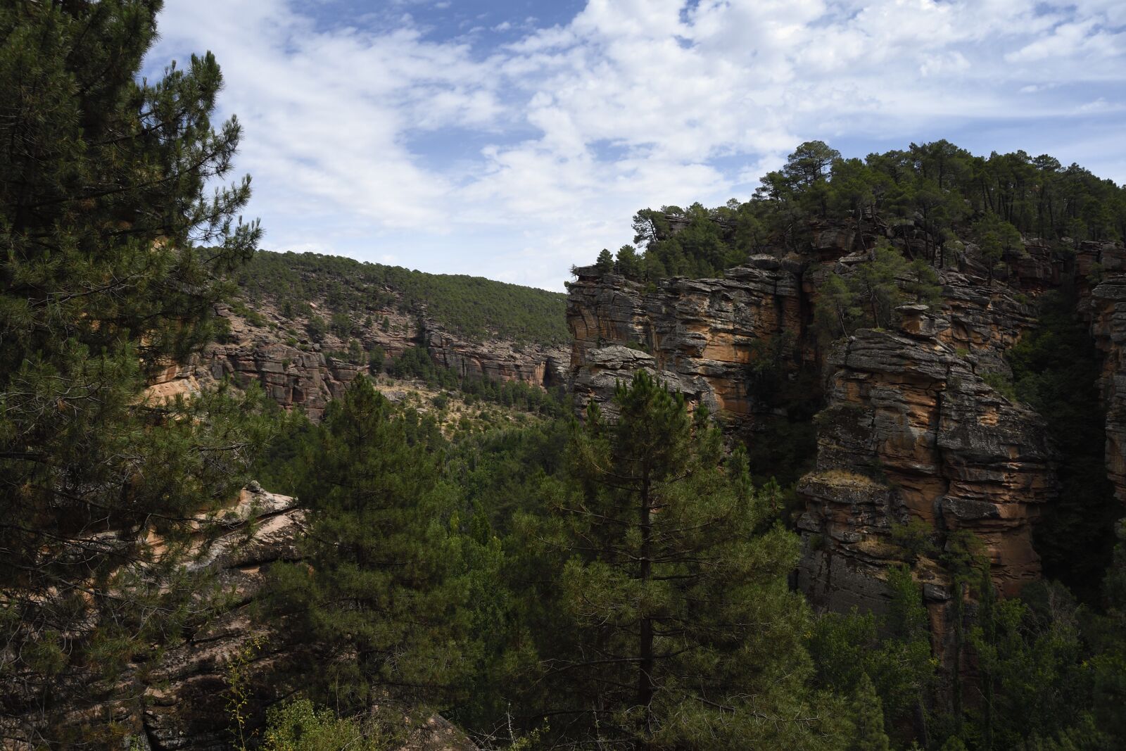 Nikon D500 sample photo. Sickle, cannon, rocks photography
