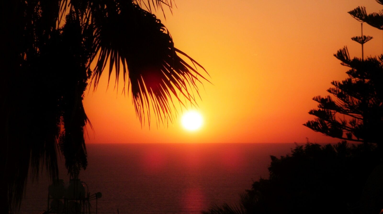 Olympus FE46,X41,X42 sample photo. Palm trees, sunset, cyprus photography