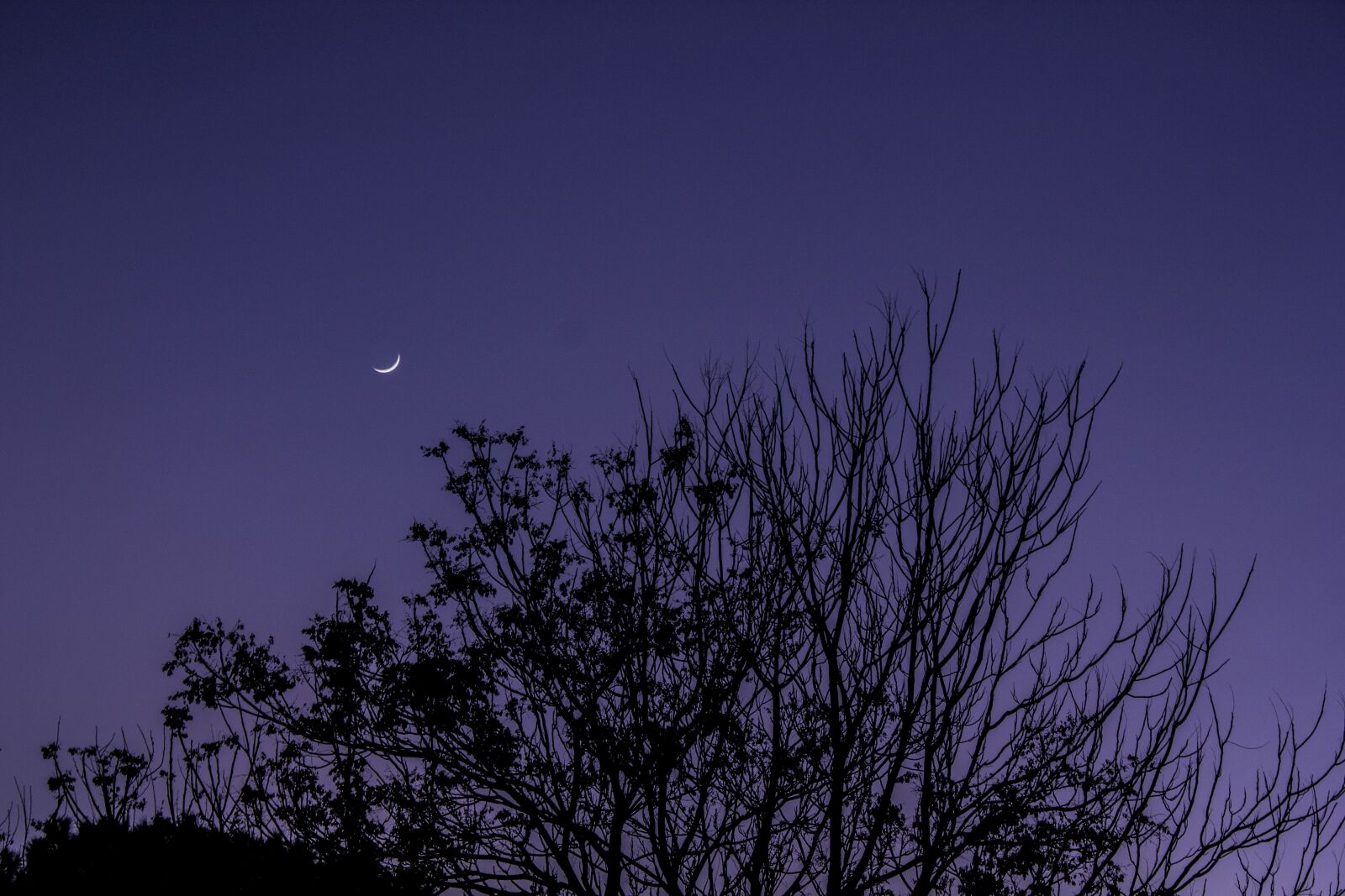 Canon EF-S 18-55mm F3.5-5.6 IS sample photo. Sky, moon, crescent photography