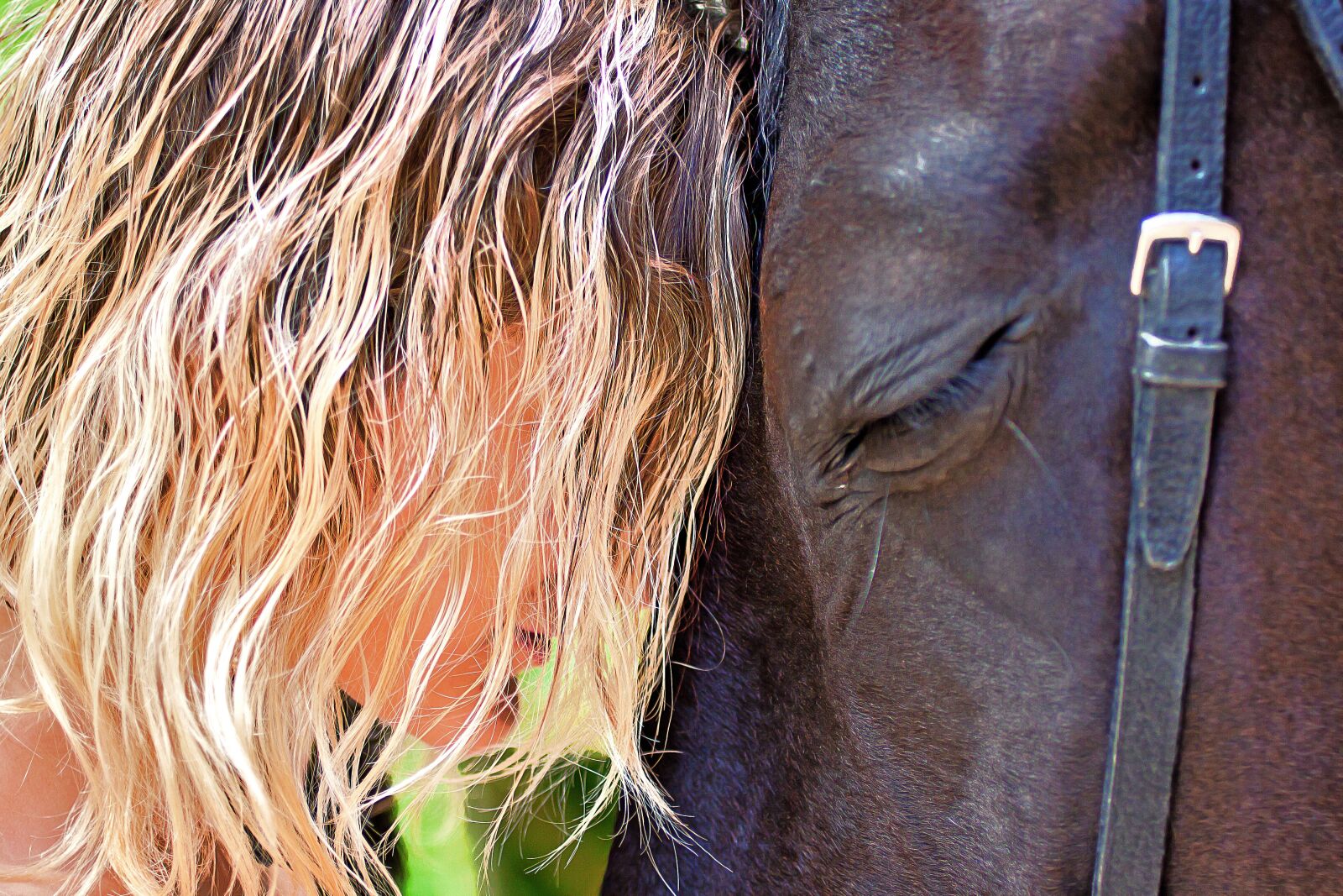 Canon EOS 50D + Canon EF 50mm F2.5 Macro sample photo. Horse, hair, woman photography