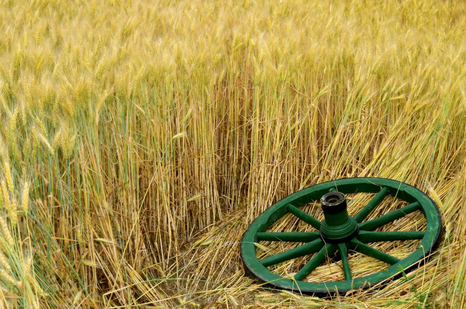 Nikon D5100 sample photo. Summer, cart, wheel photography